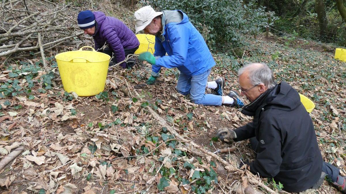 Three people wearing warm clothing including hats and coats are kneeling on the floor of the wood and digging up bulbs.