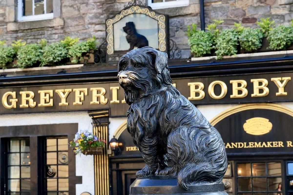 golden nosed statue of Greyfriars Bobby