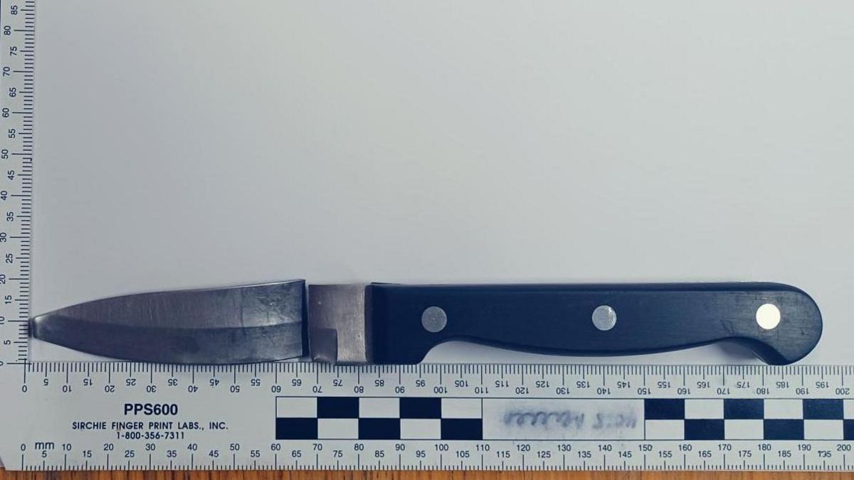 A black handled kitchen knife, the blade has been snapped away from the hilt but is placed above it. Below is a ruler measuring the blade and handle to be 195cm long.