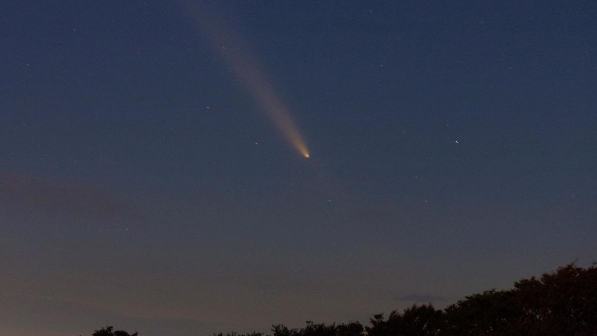 The comet in a dark blue evening sky. There are some stars visible and a line of trees below.