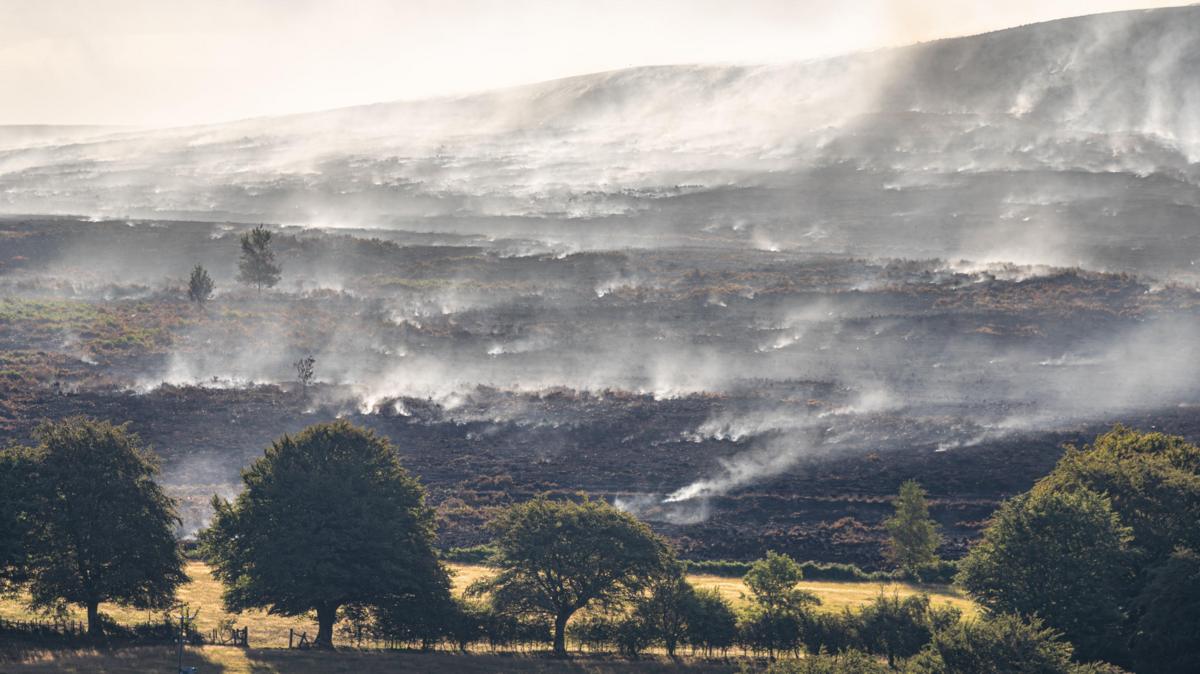 Torfaen among world's top wildfire emitters in July