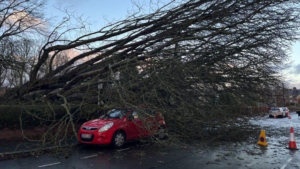 A car was damaged in Exeter