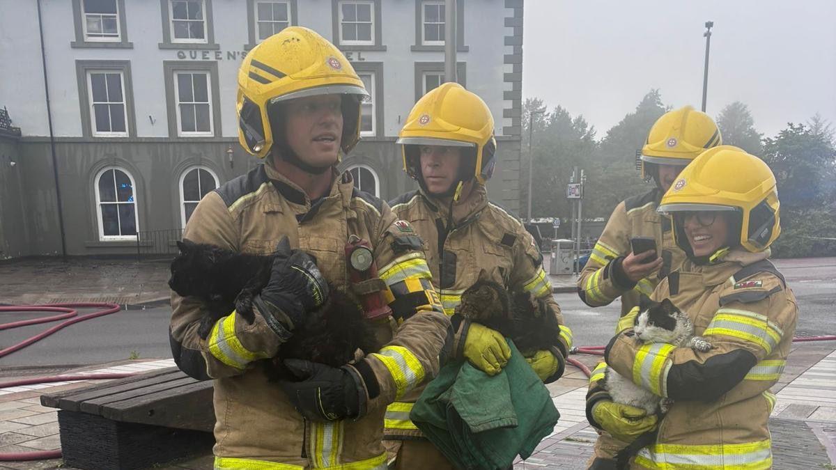 Four firefighters - three male and one female - stand in front of the Queens Hotel wearing yellow helmets and brown uniforms.  Three of them are holding cats which have just been rescued from the building.