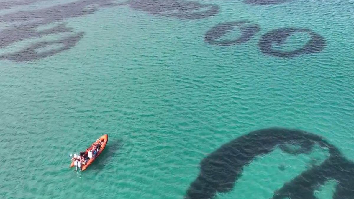 Cearcaill de bhilearach-mhara ann an Caolas Bharraigh