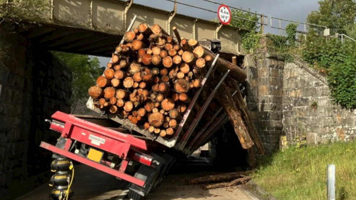 A lorry carrying chopped down trees has overturned and crashed into a railway bridge. It's leaning against the bridge.