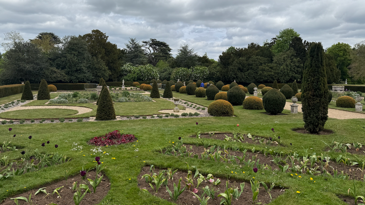 The scene shows a very neat garden, with tulips planted in the foreground. In the background, there are a number of carefully trimmed hedges and bushes. There are also an array of trees behind them.
