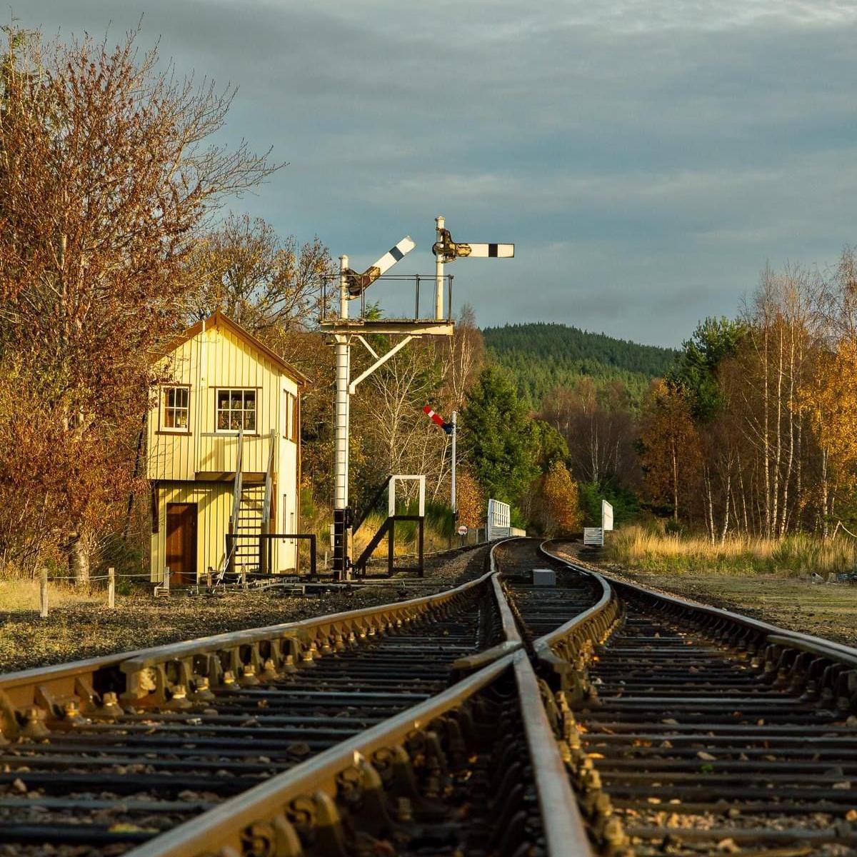 The view of a quiet, rural train station from a low-down angle of the tracks. The tracks are surrounded by trees losing their leaves and a forest covers a hill in the background.