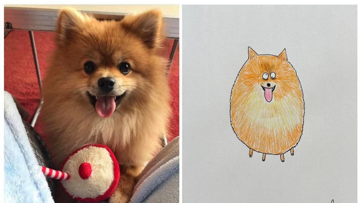 A smalll ginger furry dog with its tongue out on left and Hercule Van Wolfwinkle's portrait of the dog on the right