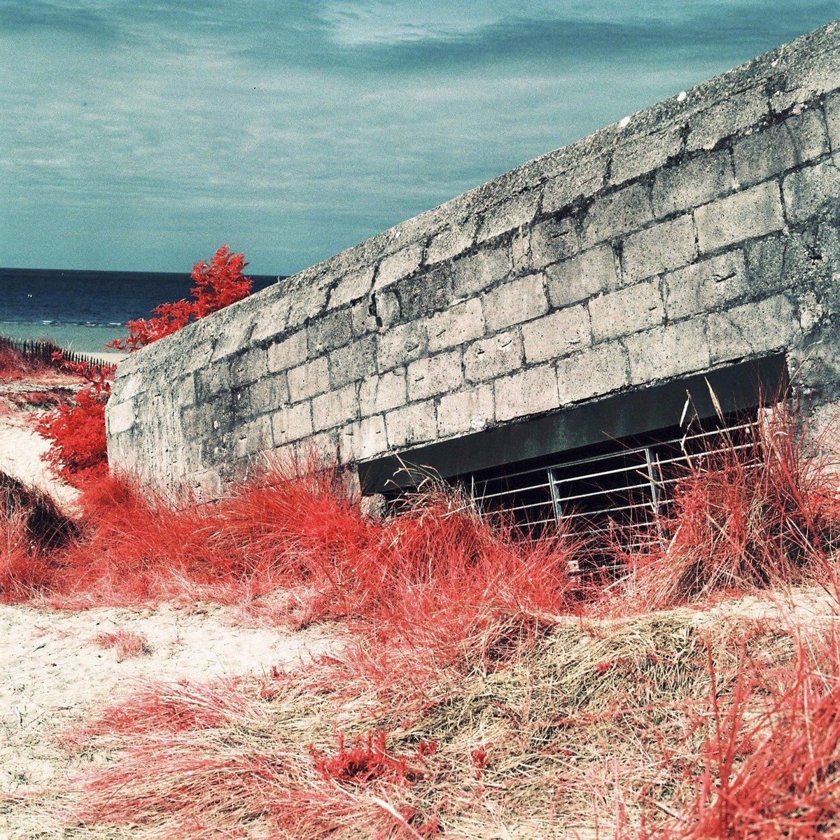 Infrared photograph of a bunker, surrounded by plants and sand