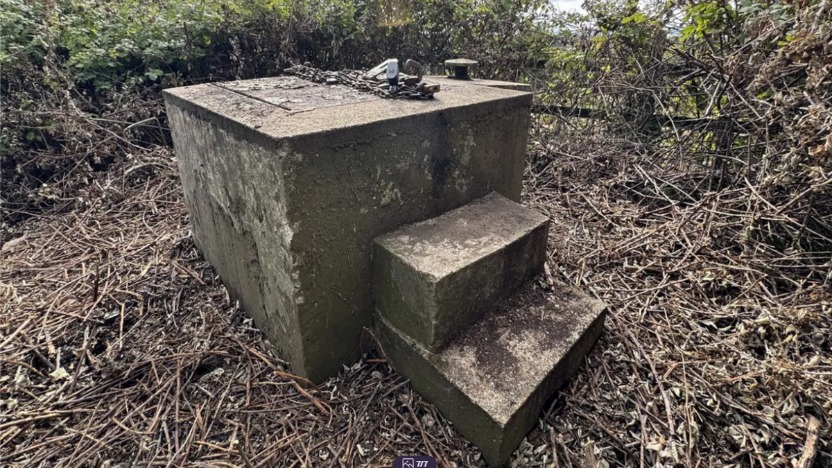 A cuboid concrete top of a bunker. It has two concrete steps to the right hand side to allow someone to climb up to the hatch, which is on top and secured with chains. At the far side of this structure is a small metal chimney. The area immediately around the bunker has been cleared recently, as there is bracken on the floor.