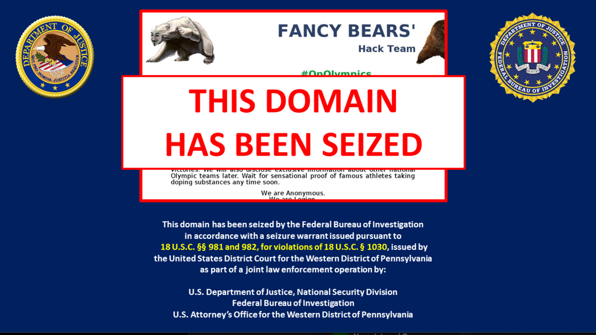 A screenshot of a basic-looking website with a picture of a bear, with a large sign in front saying "This domain has been seized".