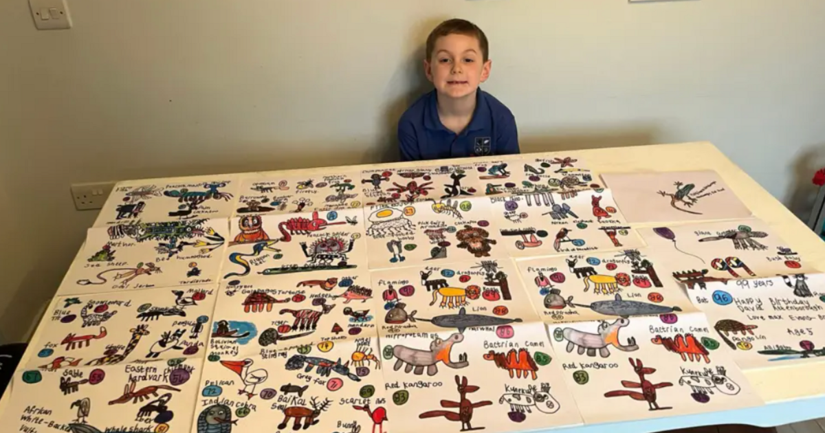 Max and all his 100 drawings spread out 