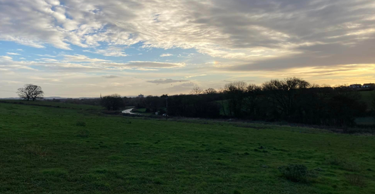 A field alongside a road 