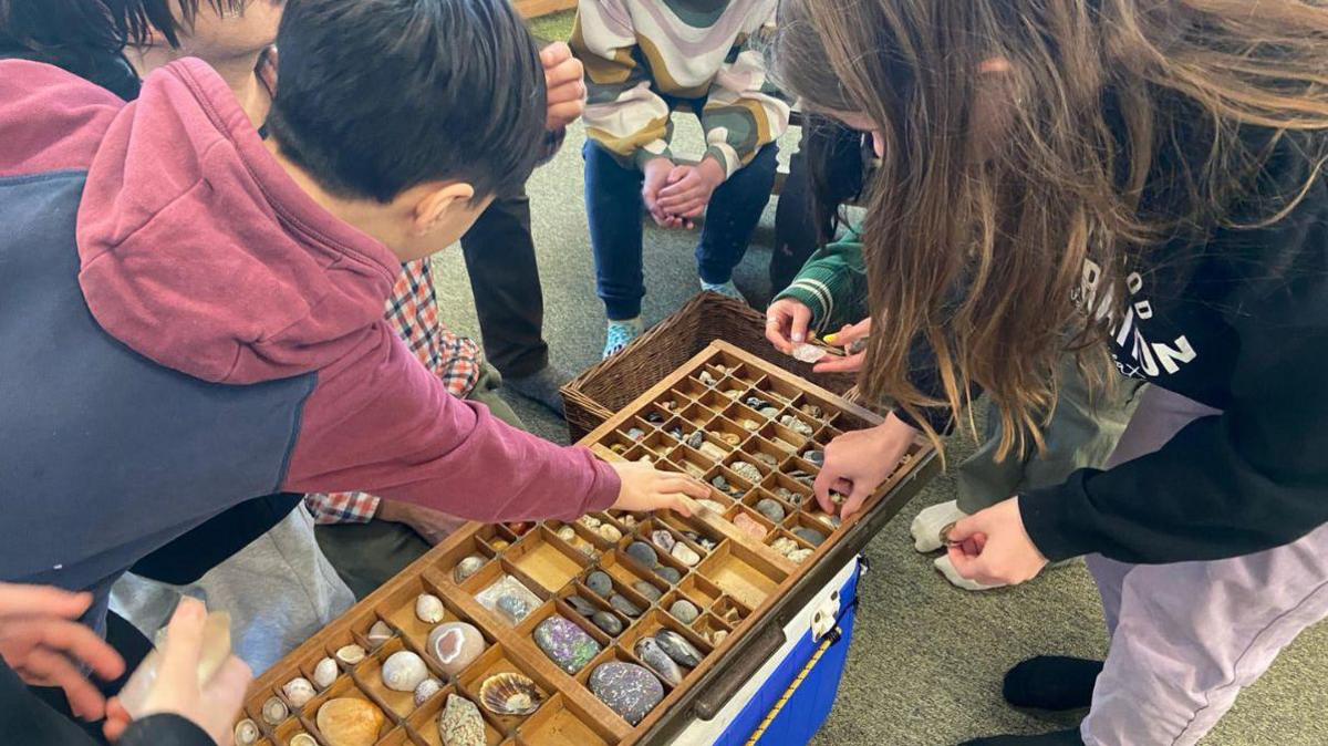 Children sort fossils and shells into a tray. 