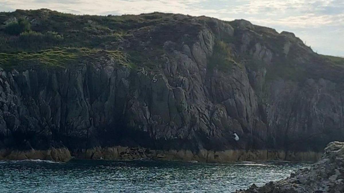Dafad ar glogwyn