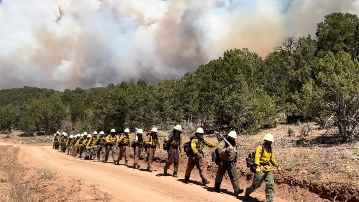 Three firefighters killed in Colorado-Utah wildfire