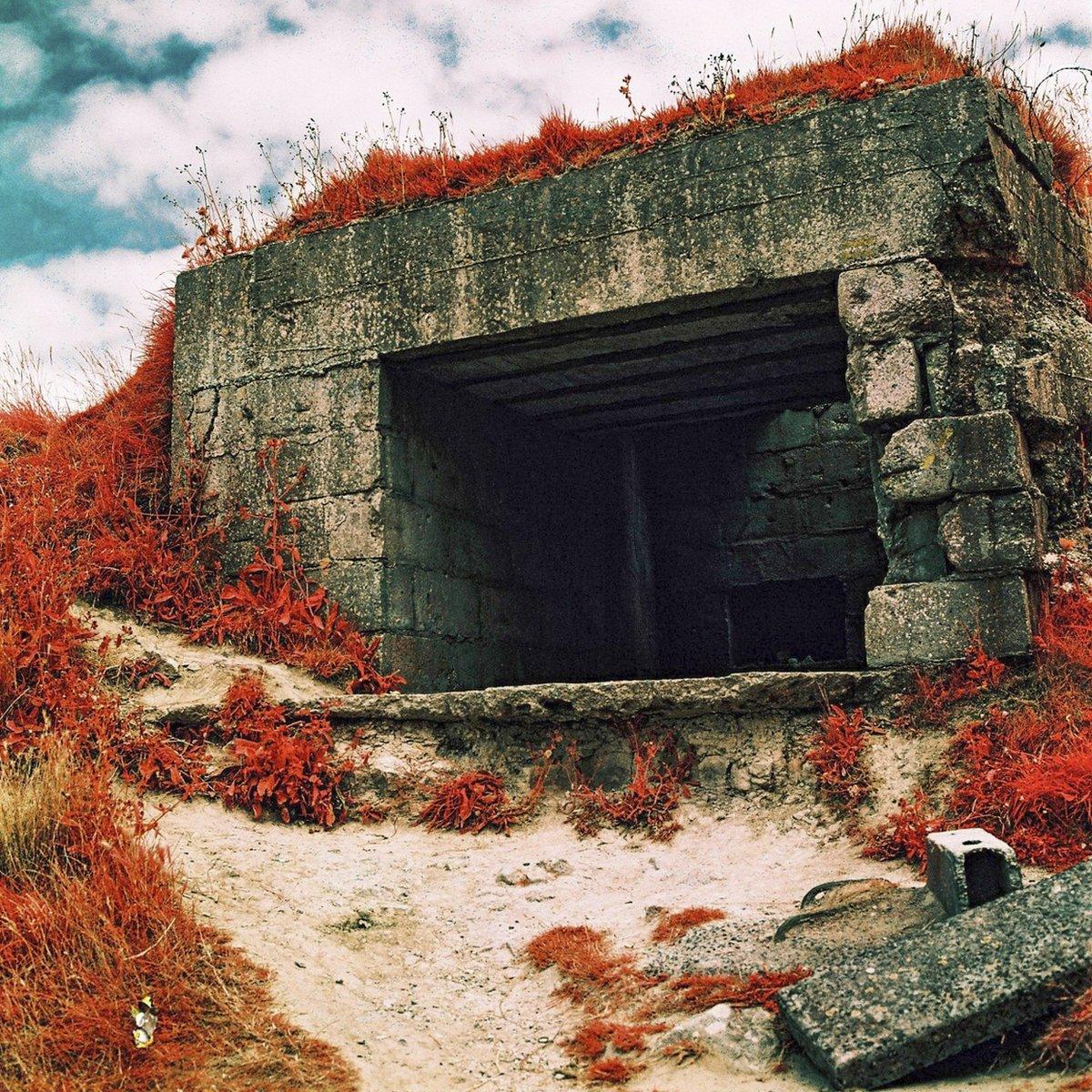 Infrared photograph of a bunker, surrounded by plants and sand