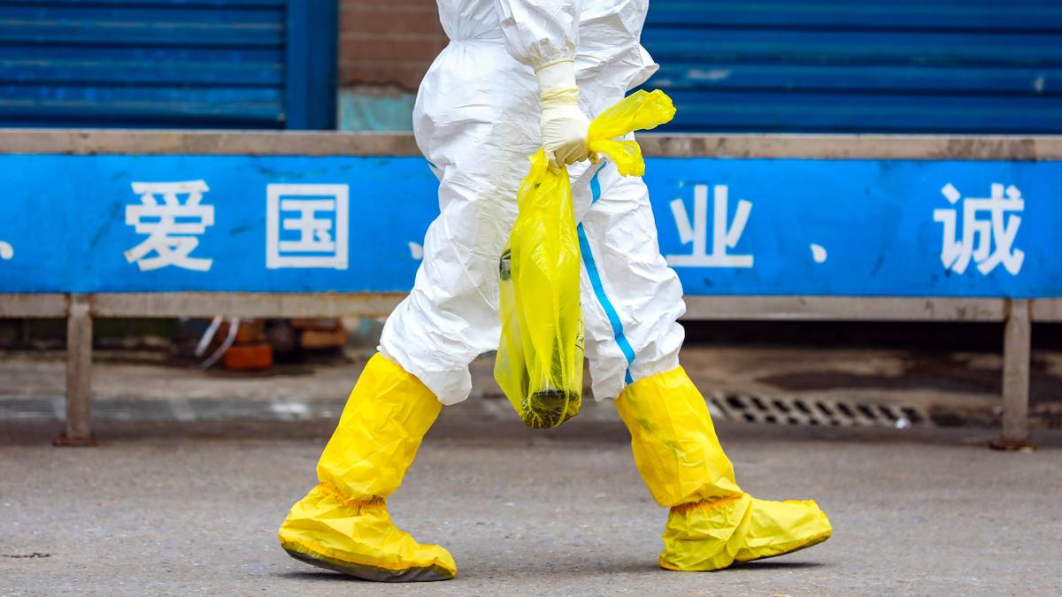 A worker takes away an escaped giant salamander caught in Huanan Seafood Market, which was shut down due to its connection to the spread of Covid-19, in Wuhan, 27 January 2020