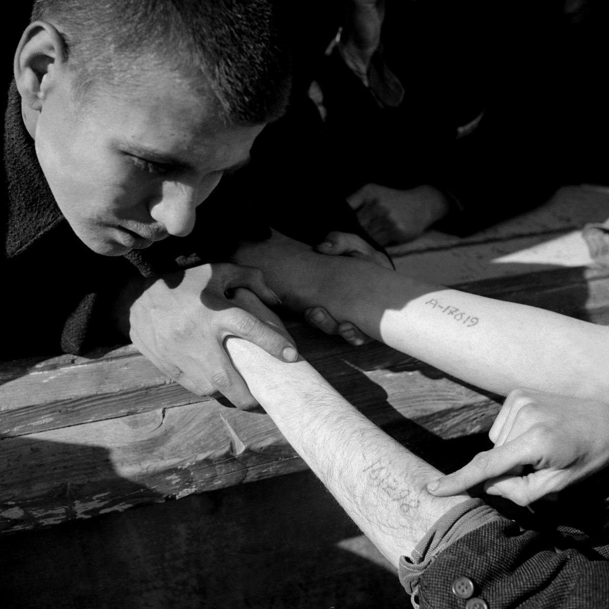 Tattooed arms of Auschwitz prisoners