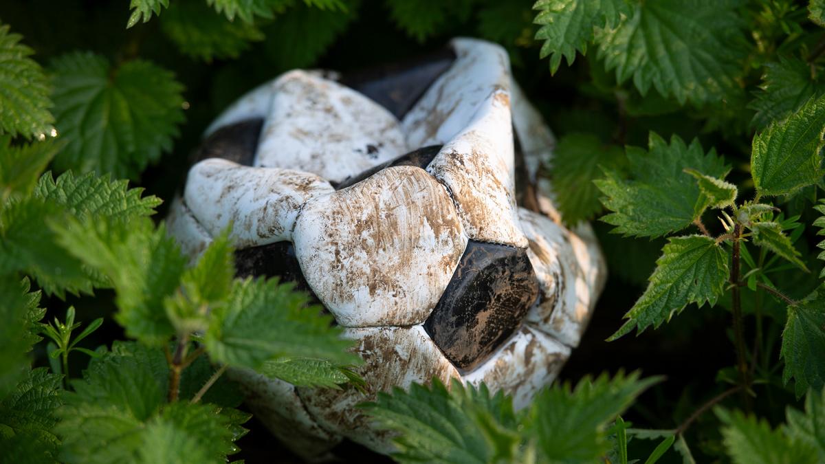 Deflated football in nettles