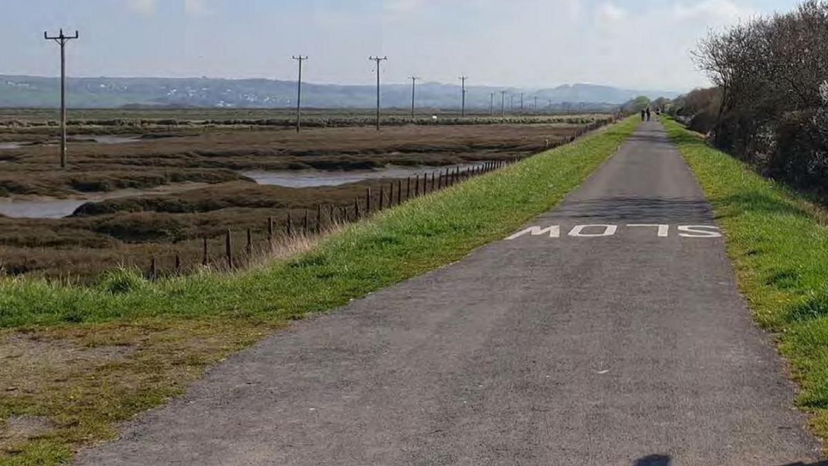 The tarmac-covered Tarka Trail, with the word Slow painted on it, runs alongside an area of scrubland that has stretches of water on it. There are hills and a town in the distance.