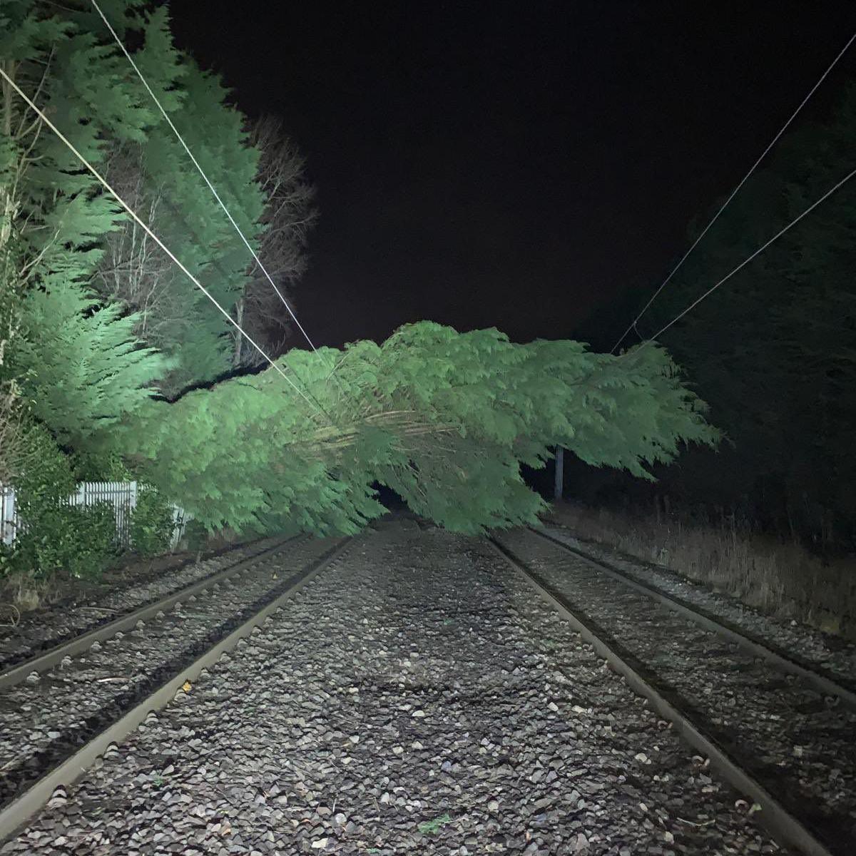 A felled tree that has collapsed on some overhead lines over a railway track.