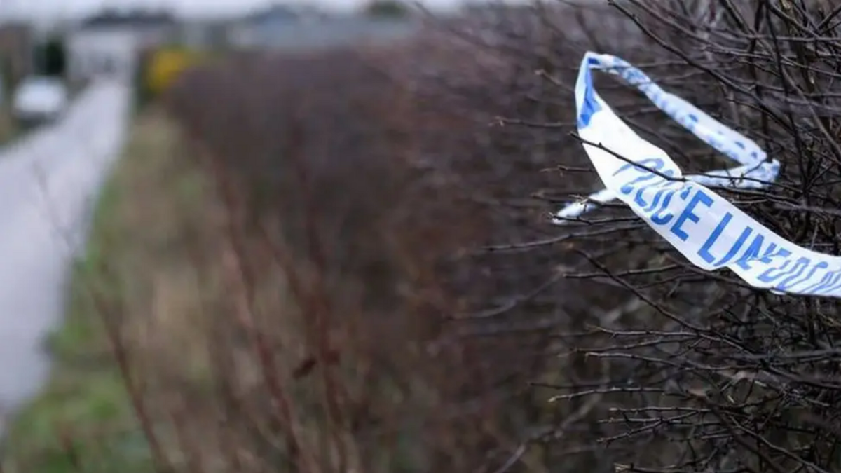 A blue and white police cordon stuck in a leafless bush. 