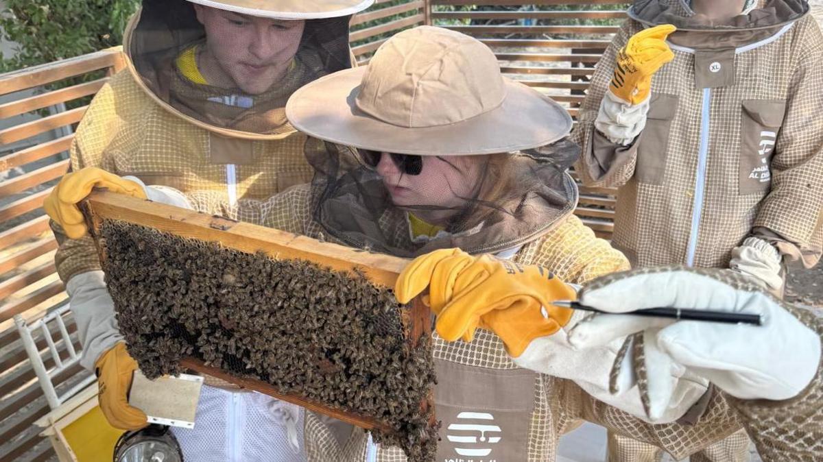 A young girl is dressed in a light brown beekeeping suit with yellow gloves as she examines a frame from a beehive with lots of bees on it. A young boy is standing next to her wearing the same suit.