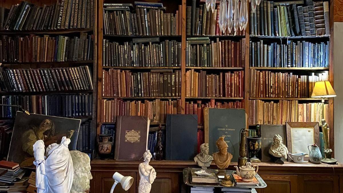 Wooden bookcases, stacked with books. There are various books and ornaments and a lamp on the verge in front of the bookcase.