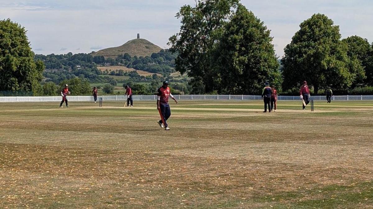 A small number of people on a cricket pitch in the sun. They are wearing dark trousers and mauve tops. Glastonbury Tor is in the distance.