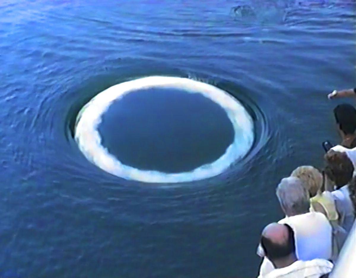 Bubble ring created by a humpback whale named Thorn.