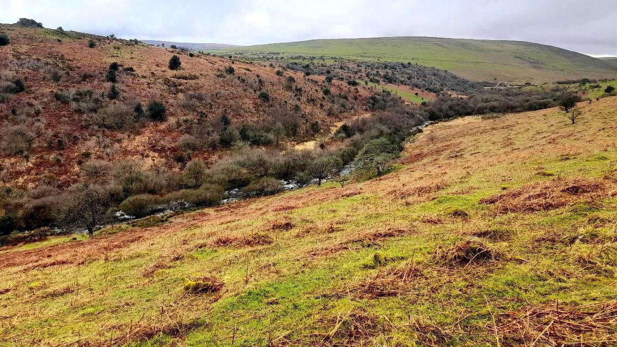 The River Erme and Harford Moor. The rolling green and brown hills have a river cutting through them. There are sparse trees in the distance and the grount looks wet. The sky is cloudy. 