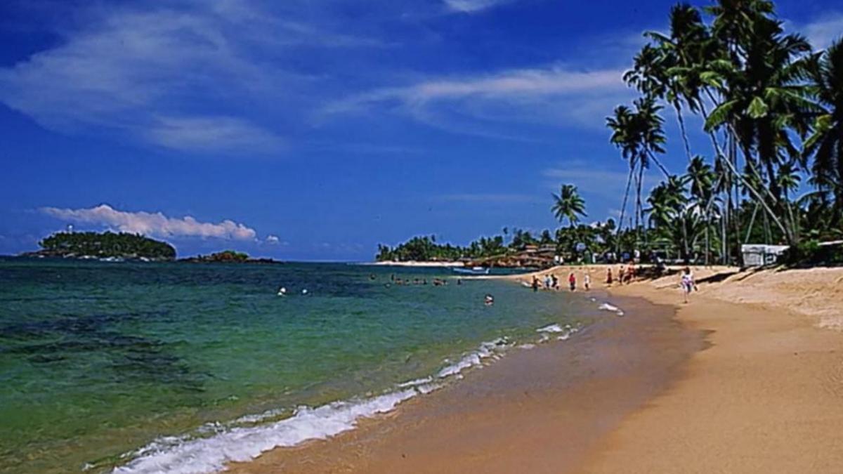 A picture of a sandy beach with blue waters and palm trees. Holiday photo.