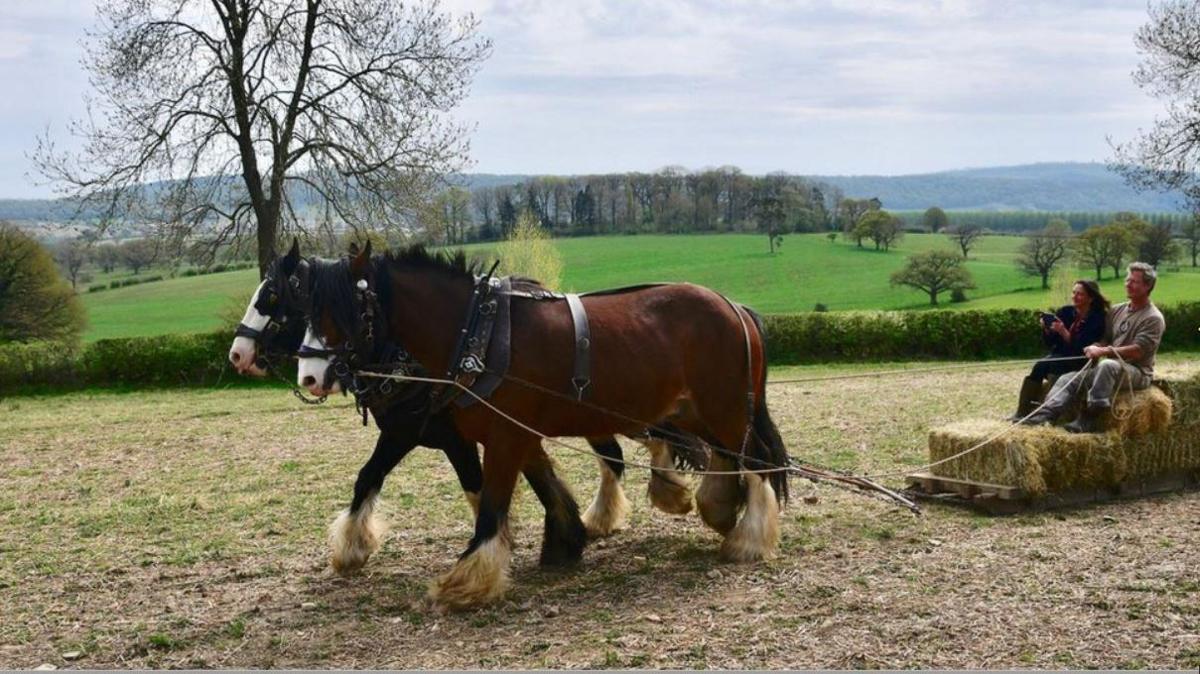 Acton Scott Historic Working Farm 