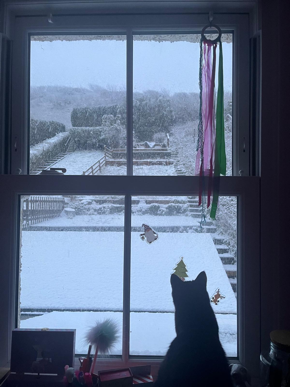 Cath yn edrych drwy'r ffenestr