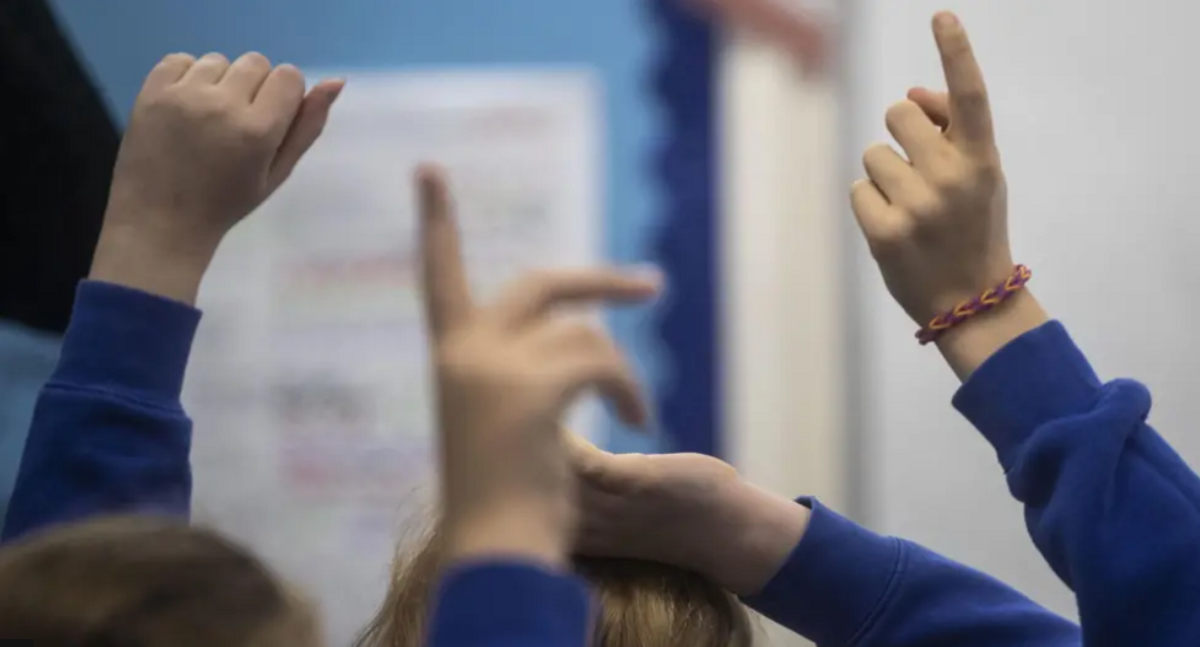 Children with their hands up in a classroom.