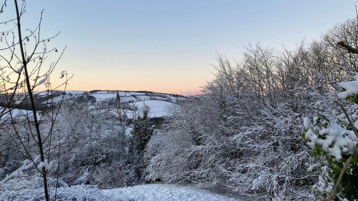 Trees and hills covered in snow