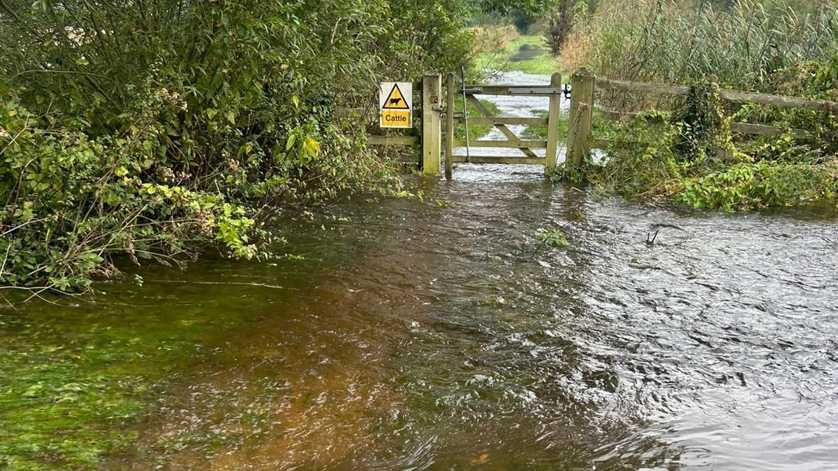 A close up of a flooded area beside a wooden gate that is separating two fields, which are both flooded. 