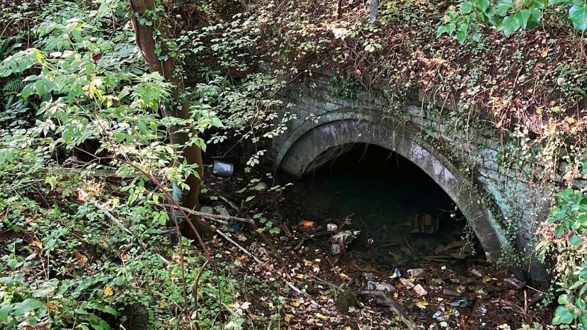 An old brick tunnel surrounded by grass, trees and weeds that are green and brown. There is shallow water going into the tunnel, as well as leaves, mud and some litter