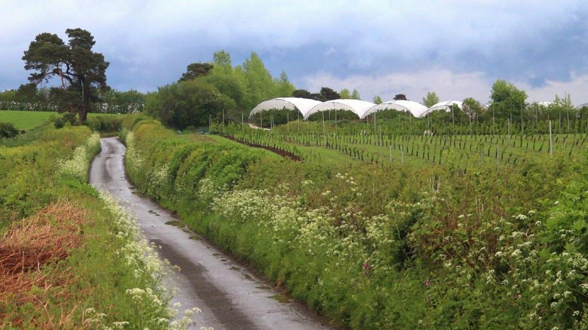 Existing tunnels at the farm near Huntington