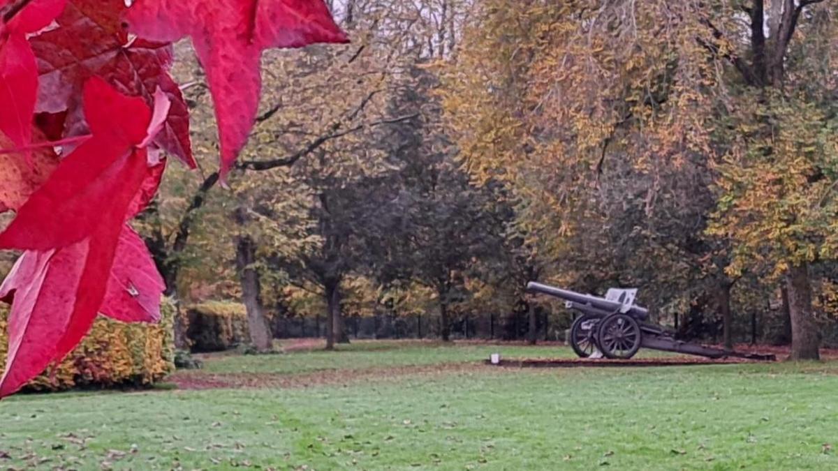 A 150mm Japanese field gun sits in a park surrounded by trees. In the foreground bright red tree leaves hang in the top right corner.