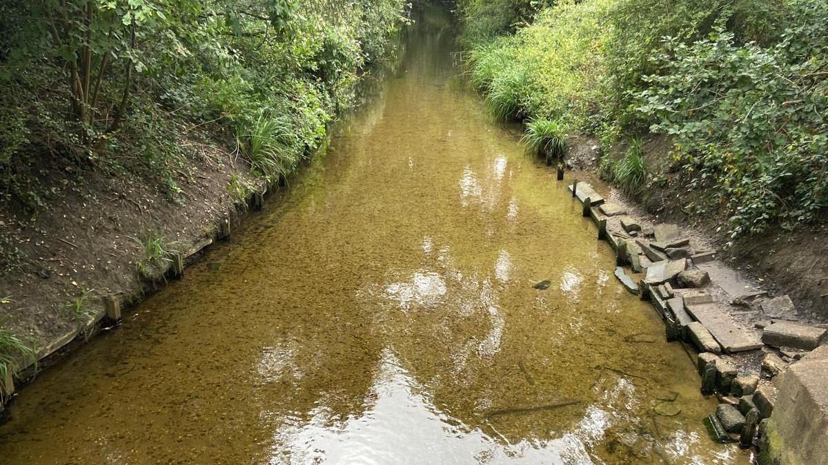 General view of part of the brook in Wimbledon, with rocks and plants growing on the banks of the brook