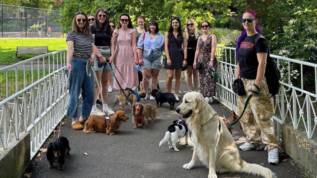 A group of young women in summery bright clothes taking their dogs for a walk. There are about nine dogs pictures including a sausage dog and a golden retriever. They are standing on a path leading into a park. 