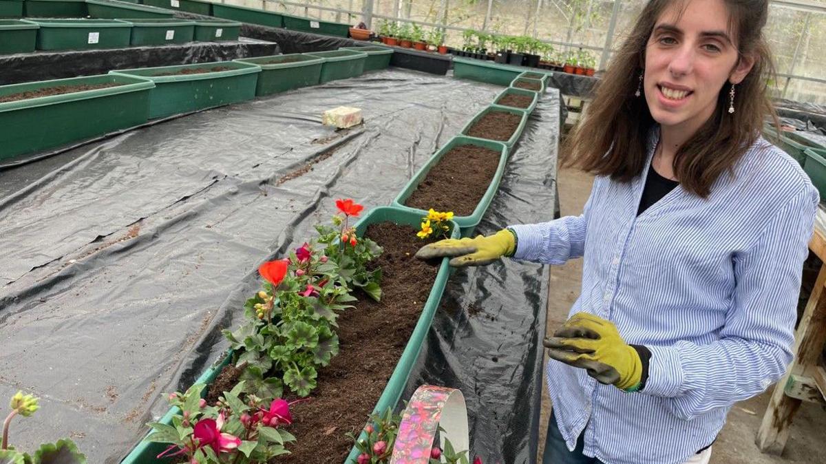 A smiling woman posing for the camera in a large glasshouse as she plants up a long green container with a mixture of flowering plants. She has long dark hair and is wearing a blue and white striped shirt and yellow gardening gloves.