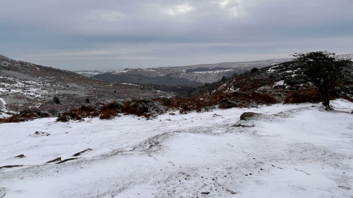 Snow on open moorland with trees and scrubland in background.