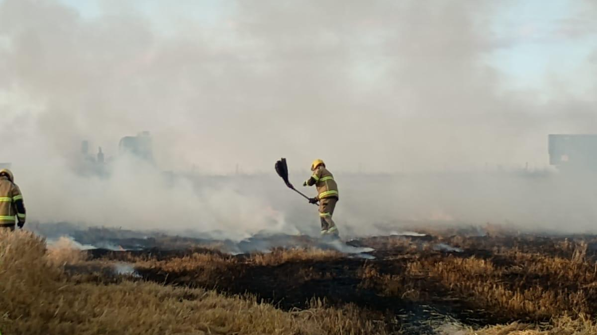 A firefighter beating down a burnt field with smoke seen rising from the ground