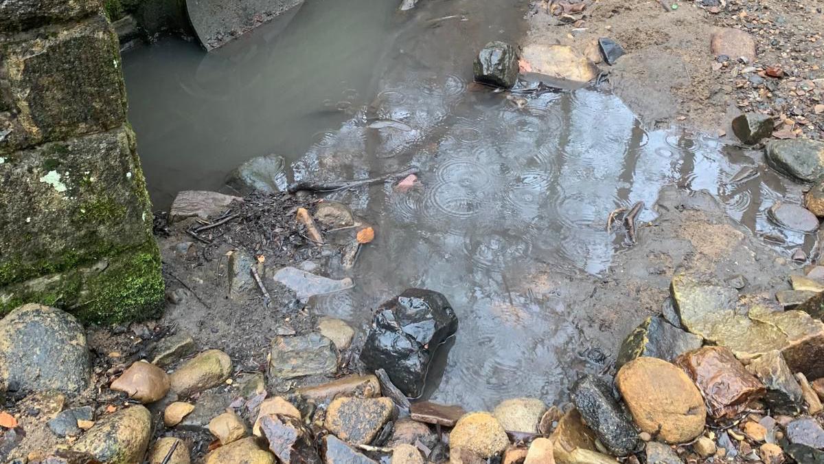 A river bed with lots of rocks and murky water