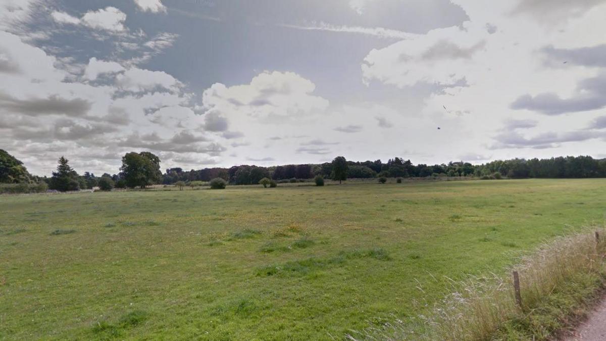 View of sprawling area of grass at Clandon Park, with trees in the distance. 