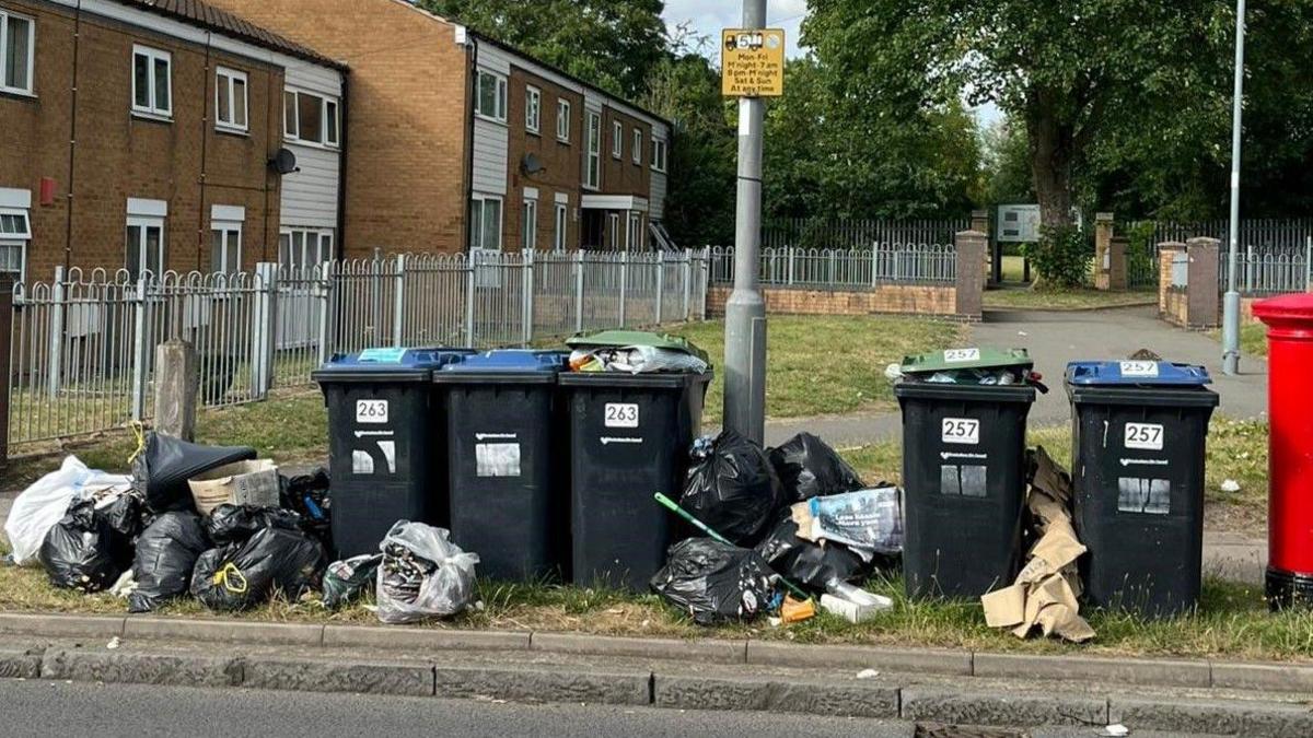 Five wheelie bins, with some overflowing, and a number of binbags by a road. Properties are in the background.