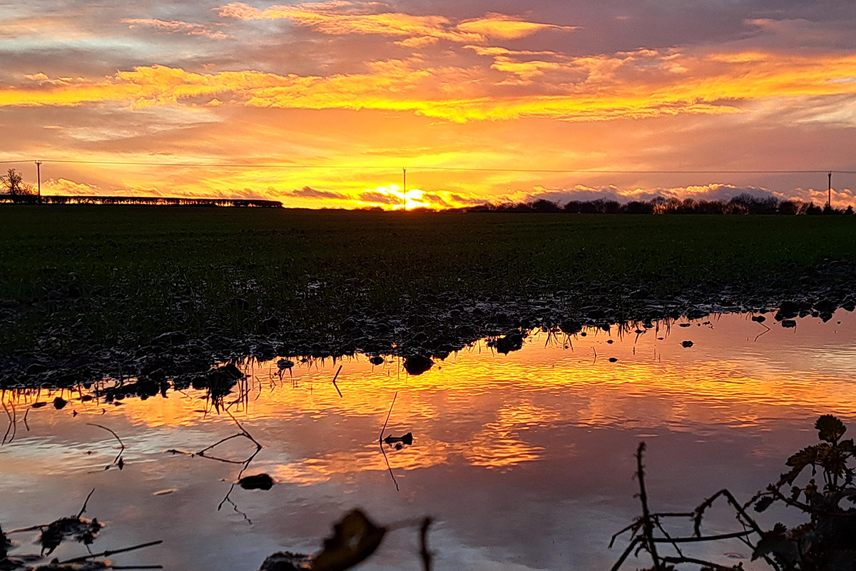 The sunrise or sunset in a field near Wolverhampton. Water covers the land in the foreground, reflecting the colours of orange and pink in the sky, with mud and ice beyond